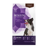 Holistic Select 100% Natural Dog Food | Adult Health | Turkey &amp; Lentils Grain Free | 10.88kg