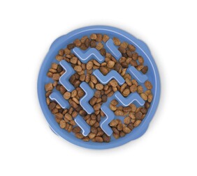 Outward Hound | Fun Feeder Notch | Blue | Large